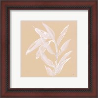 Framed 'Leaf Study III' border=