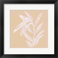 Framed 'Leaf Study III' border=