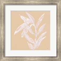 Framed 'Leaf Study III' border=