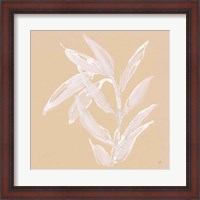 Framed 'Leaf Study III' border=