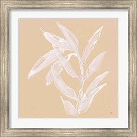 Framed 'Leaf Study III' border=