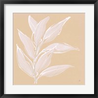 Framed Leaf Study II