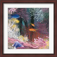 Framed 'Coastal Reef I' border=