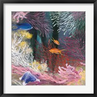 Coastal Reef I Framed Print