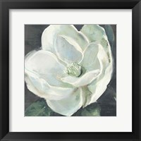 Magnolia III Sage Framed Print