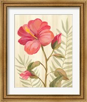 Framed 'Tropical Garden XII' border=