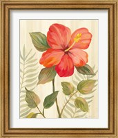 Framed 'Tropical Garden XI' border=