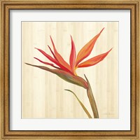 Framed 'Tropical Garden IV' border=