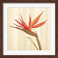 Framed 'Tropical Garden IV' border=