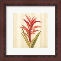 Framed 'Tropical Garden III' border=