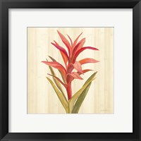 Framed 'Tropical Garden III' border=