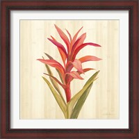 Framed 'Tropical Garden III' border=