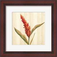 Framed 'Tropical Garden II' border=