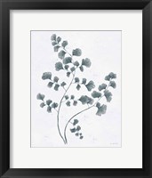 Soft Summer Sketches IV Blue Framed Print