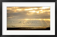 Framed Sunrise on The Estuary