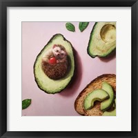 Framed Avocado Toast