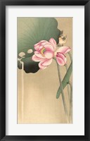 Framed Songbird and Lotus, 1900-1936