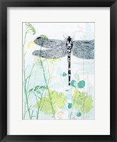 Framed Dragonfly And The Healing Plant