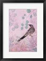 Framed Dusk Wattlebird in Pink