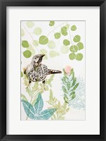 Framed Wattlebird and Pincushion Protea