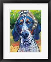 Framed Coonhound