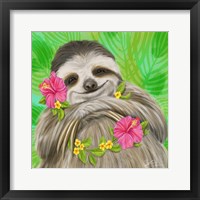 Framed Smiling Sloth