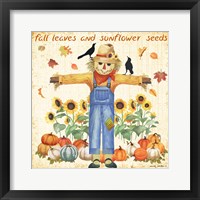 Sunflower Seeds Framed Print