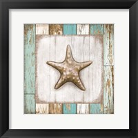 Framed 'Starfish on Beach' border=