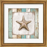 Framed 'Starfish on Beach' border=