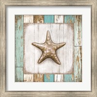 Framed 'Starfish on Beach' border=