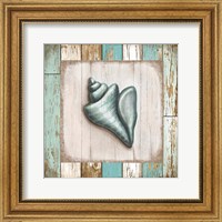 Framed 'Turquoise Seashell' border=