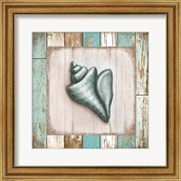 Framed 'Turquoise Seashell' border=