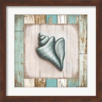 Framed 'Turquoise Seashell' border=