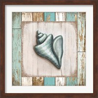 Framed 'Turquoise Seashell' border=