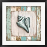 Turquoise Seashell Framed Print