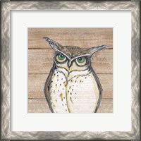 Framed 'Owl' border=