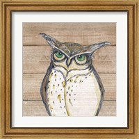 Framed 'Owl' border=