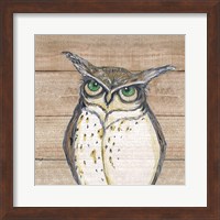 Framed Owl