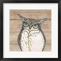 Owl Framed Print