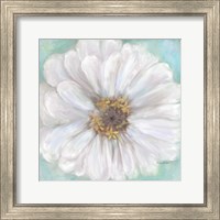 Framed 'Zinnia V' border=