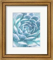 Framed 'Aqua Succulent' border=