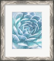 Framed 'Aqua Succulent' border=