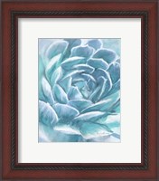 Framed 'Aqua Succulent' border=