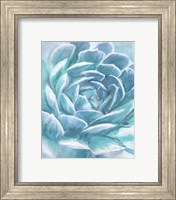 Framed 'Aqua Succulent' border=