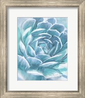 Framed 'Aqua Succulent' border=