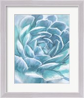 Framed 'Aqua Succulent' border=