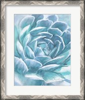 Framed 'Aqua Succulent' border=