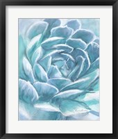Aqua Succulent Framed Print