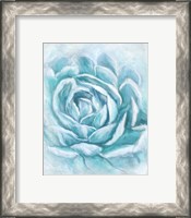 Framed 'Aqua Succulent II' border=