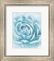 Framed 'Aqua Succulent II' border=